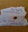 Biedna biedronka