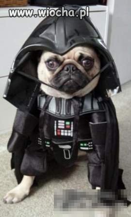 Psi lord Vader