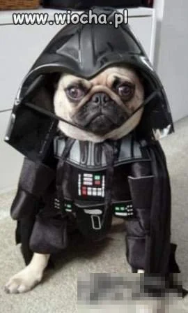 Psi lord Vader