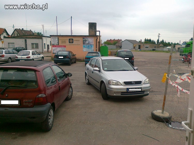 Mistrz parkowania  
