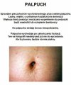 Do sprzedania: