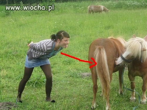 14-latka robi Wiochę na n-k ! 
