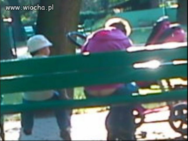 Co można zobaczyć na spacerze w parku