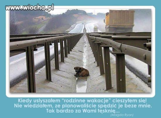 Wakacje: dla jednych radość, dla innch smutek