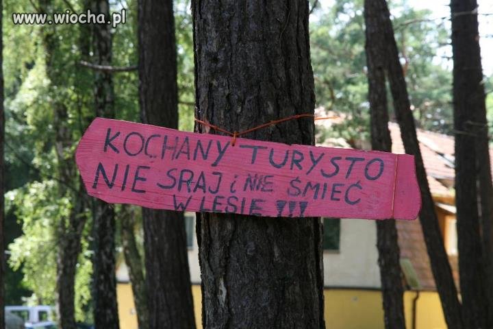 Dobitnie ujęte