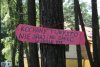Dobitnie ujęte
