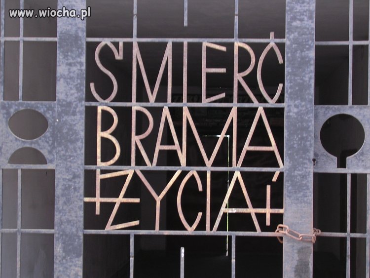 Reklamę sponsoruje ZUS