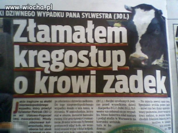 Miał facet szczęście... 