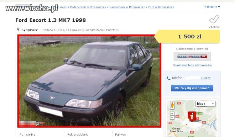 Niezły escort