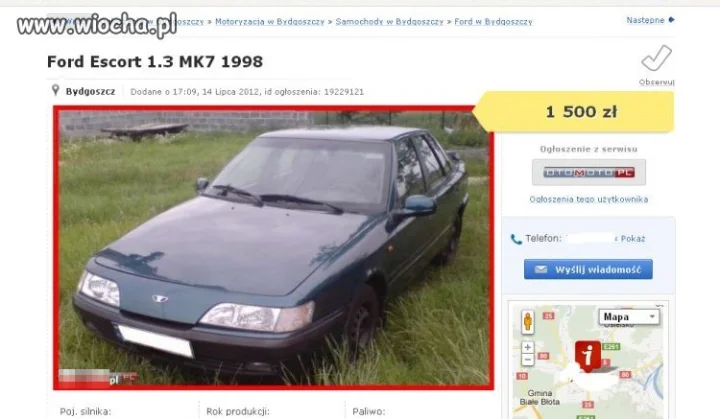 Niezły escort