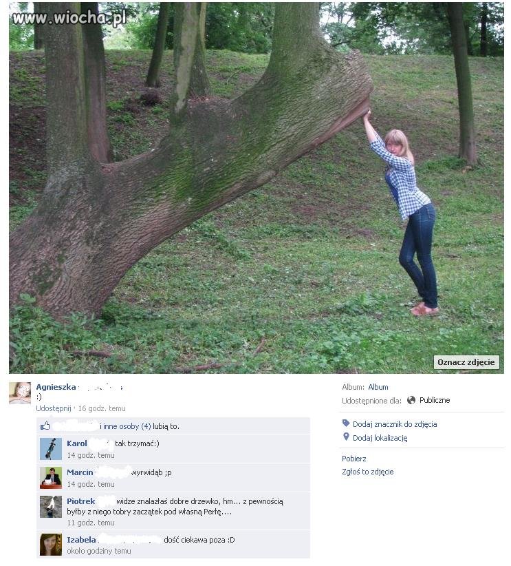 Nie śpię bo trzymam drzewo...