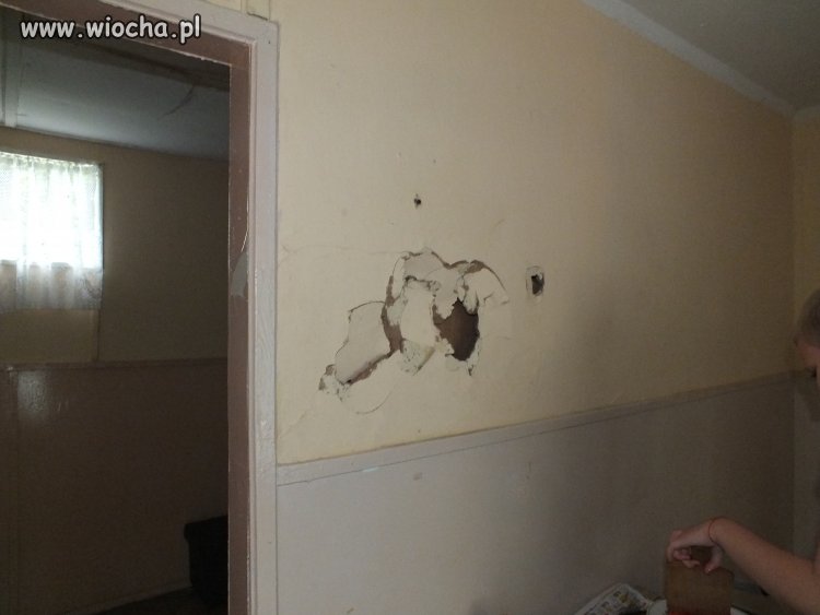 Takie domki letniskowe tylko w Skępem