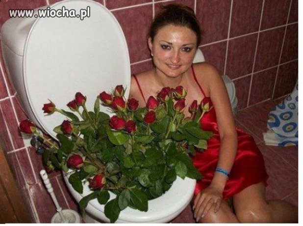 By róże się dobrze trzymały potrzebują nawozu ...