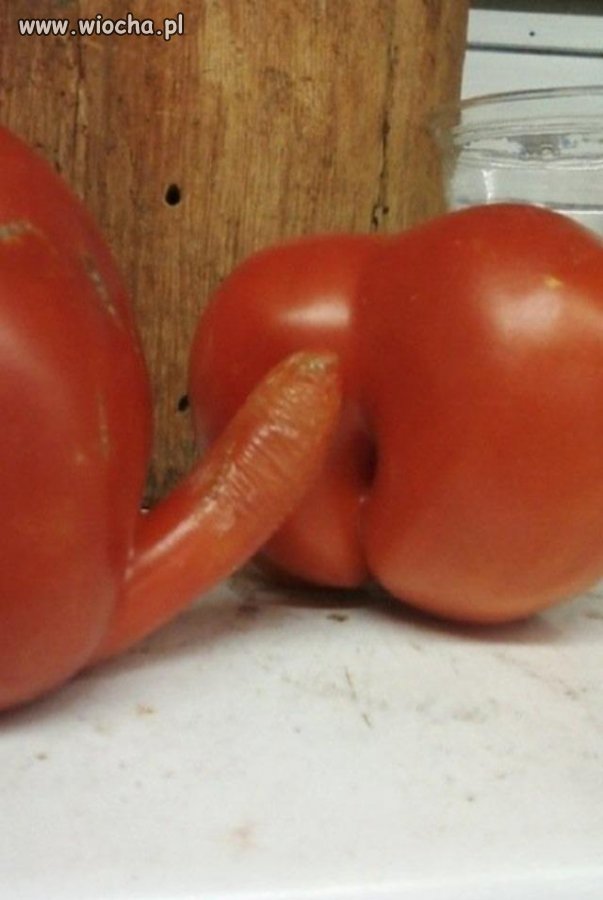 Pomidorki