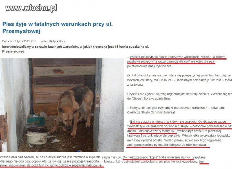 Człowiek - stworzenie o wyższych uczuciach
