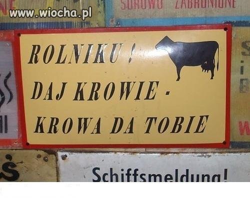 Mućka-chodź sobie damy