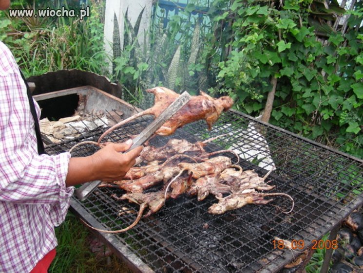 Grill...