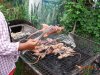 Grill...