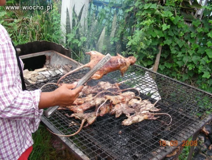 Grill...