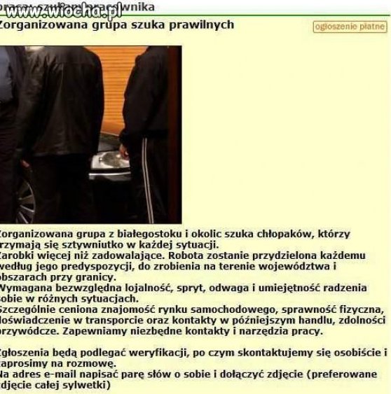 Ciekawa oferta pracy
