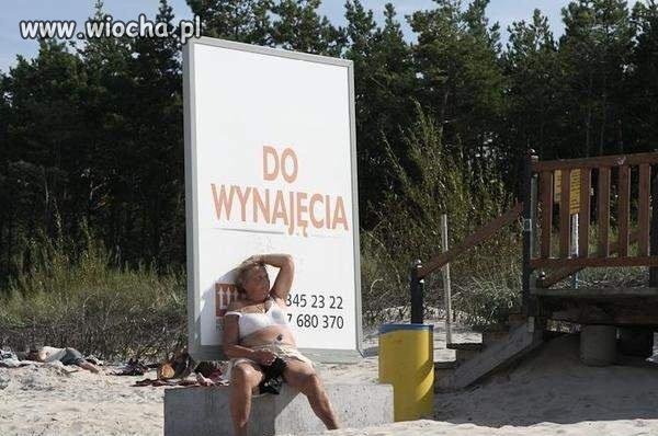 Do wynajęcia