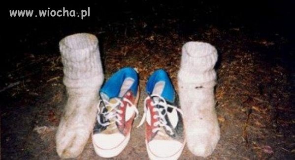 Pozdrowienia z wakacji