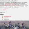 Grunt to prawdomówność w ogłoszeniu