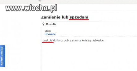 Wiocha Polskiego internetu 