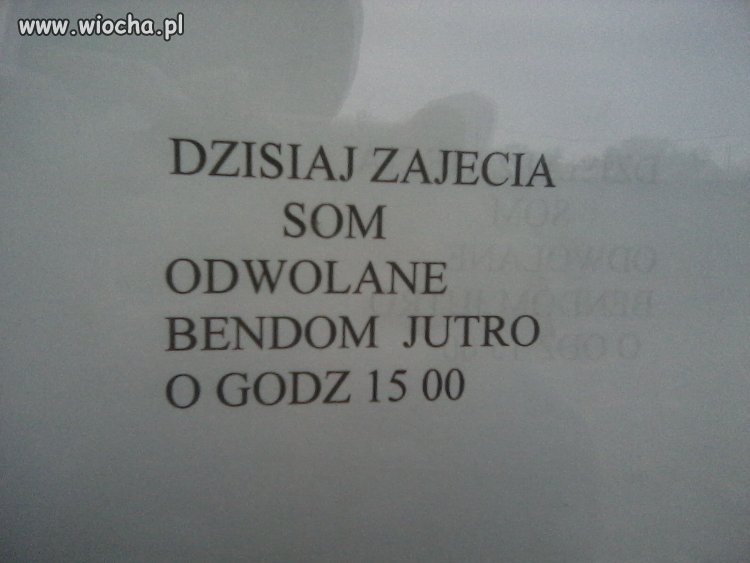 Zajęcia
