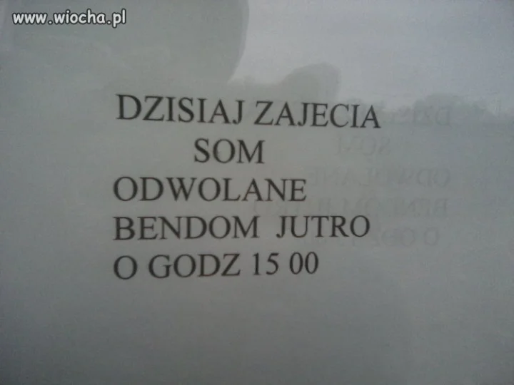 Zajęcia