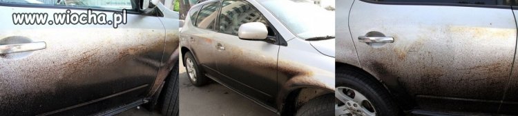 Głupi i głupszy. Drogowcy robili drogę a on musiał