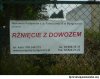 Rżnięcie z