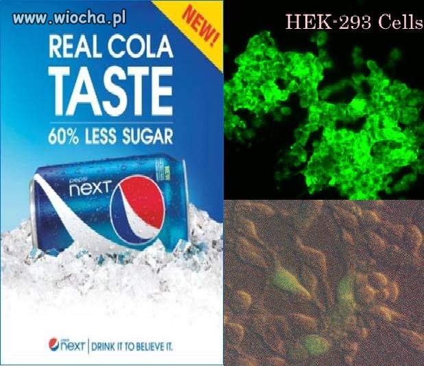 Pepsi kanibalizm