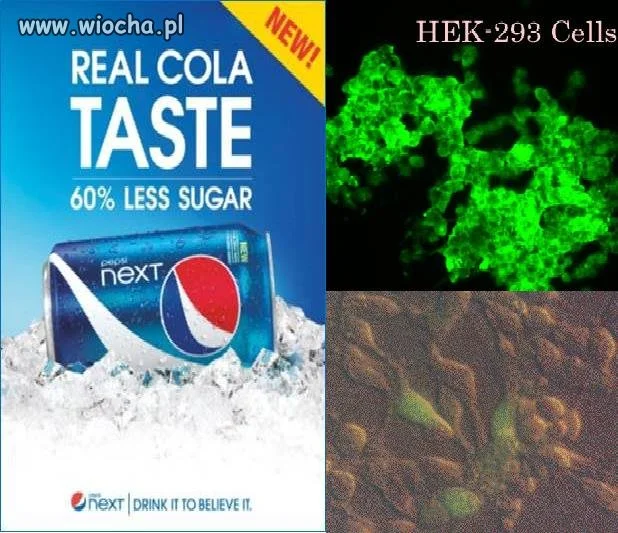 Pepsi kanibalizm