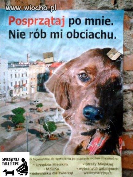 Masz psa,masz obowiązek