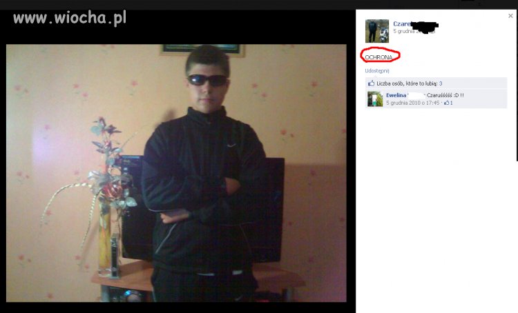Pingle w domu, lans na plazmę