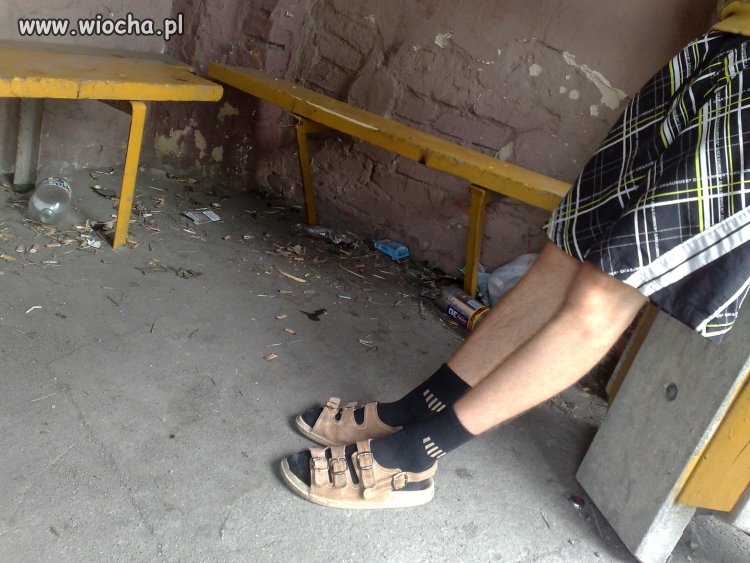 This is Polska 