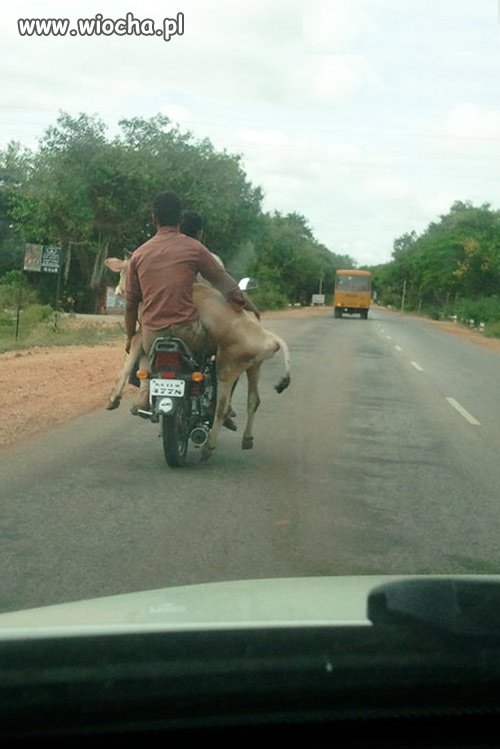 Z teściową do lekarza...