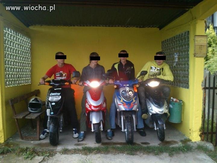 Gimbo moto