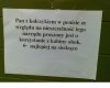 Apel