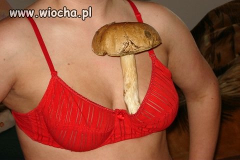 No i czym...