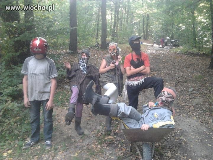 Leśna mafia