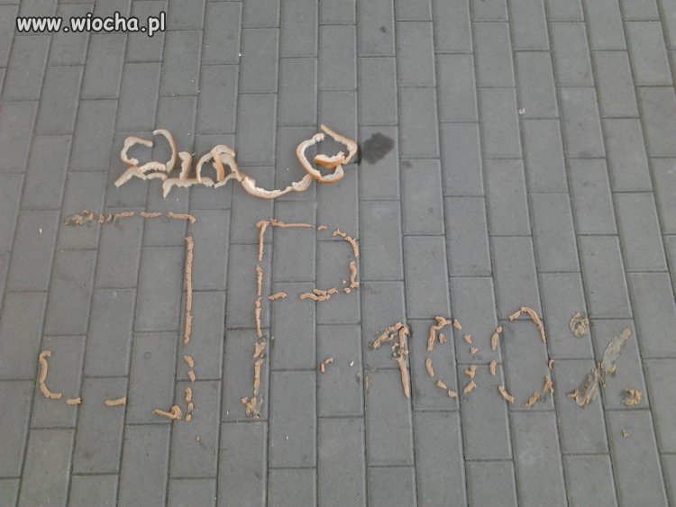 J*bać Pasztet
