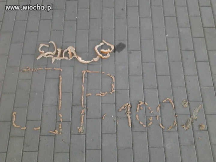 J*bać Pasztet