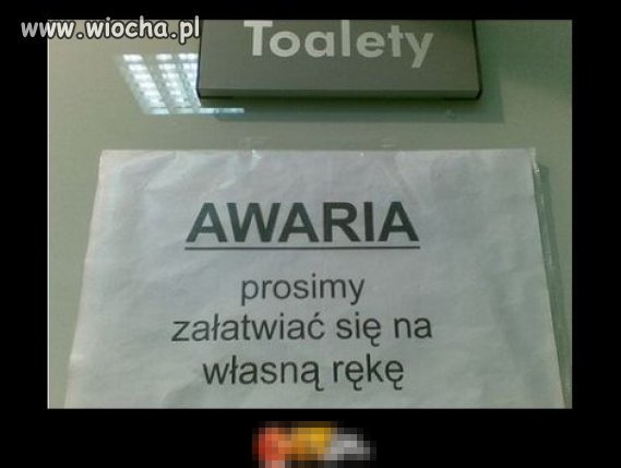 Tolaety