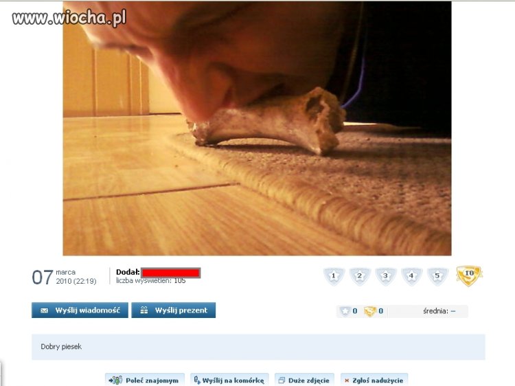 Dobry piesek 