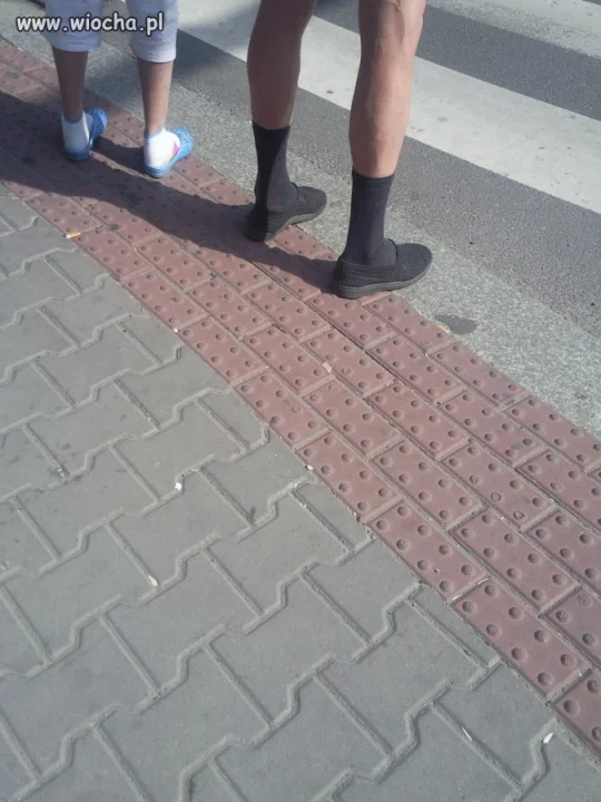 Polak potrafi. 