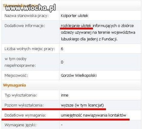 Oferta pracy. 