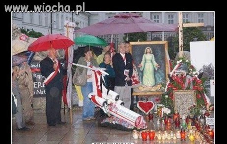 Tylko koni 