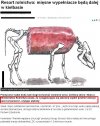 "zmielone kości, świńska skóra"